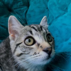 Meet your Posher, Eve